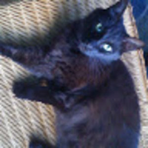 Meet your Posher, Mary davis